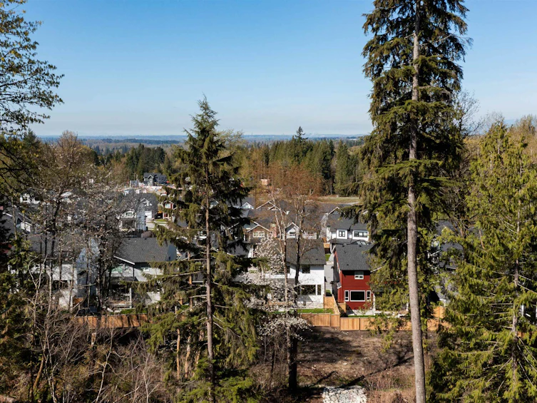 11228 251a Street, Maple Ridge, BC - 6