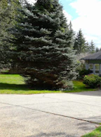 3205 Huckleberry Road