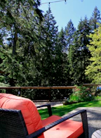 1131 Mountain Highway