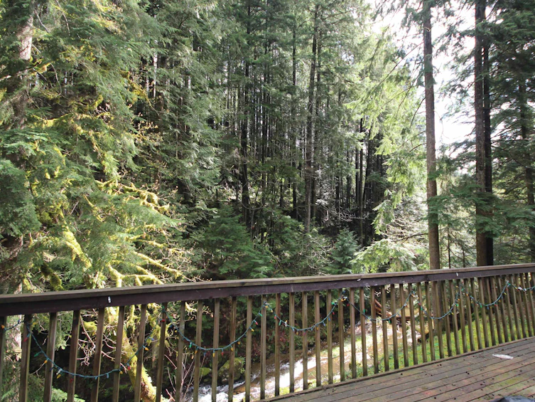 30613 Keystone Avenue, Mission, BC, V4S 1G5 - 16