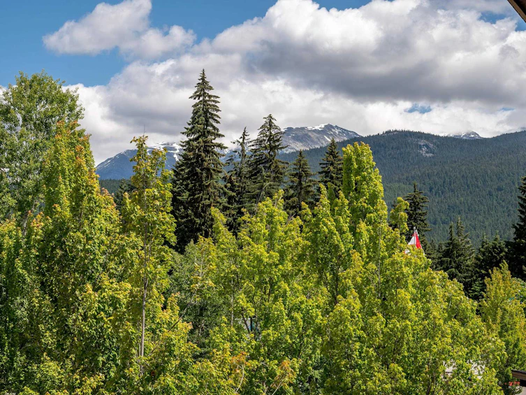 347-4340 Lorimer Road, Whistler, BC, V8E 1A5 - 17