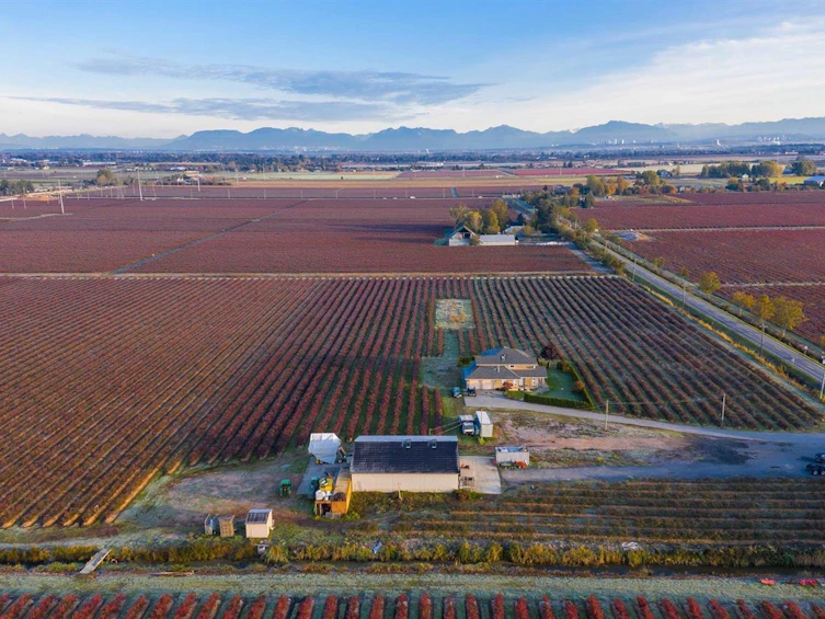 2447 56 Street, Delta, BC, V4L 2P2 - 33
