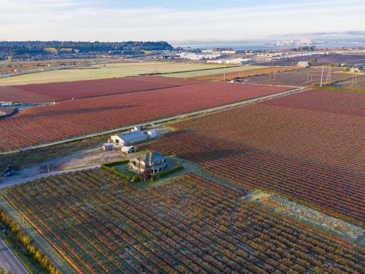 2447 56 Street, Delta, BC, V4L 2P2 - 36