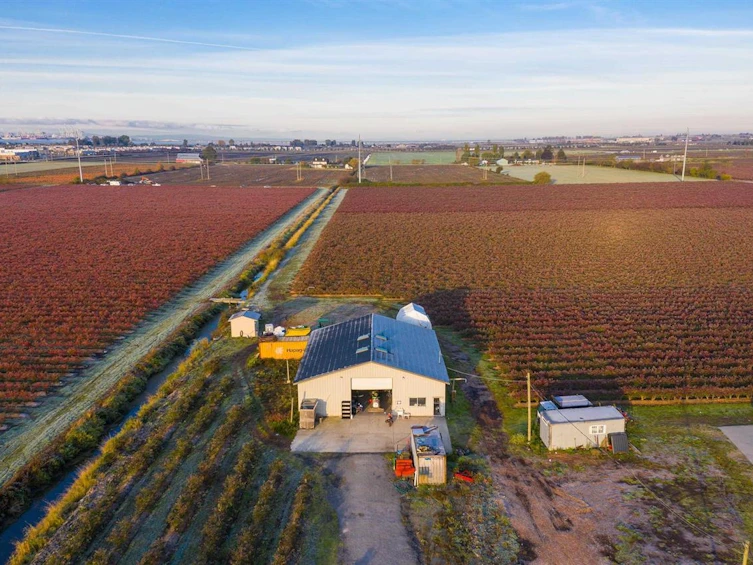 2447 56 Street, Delta, BC, V4L 2P2 - 26