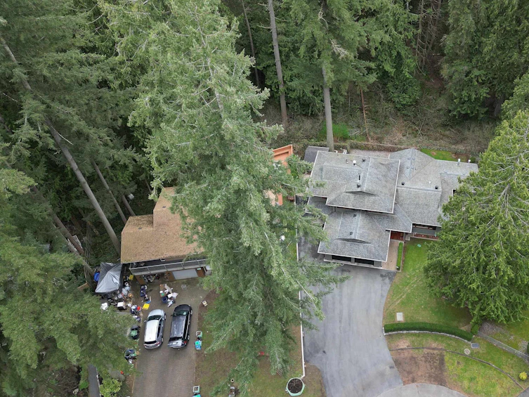 4173 199a Crescent, Langley, BC, V3A 6G2 - 39