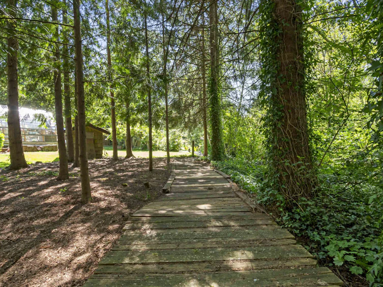16-1735 Spring Creek Drive, Cultus Lake, BC, V2R 0C9 - 12