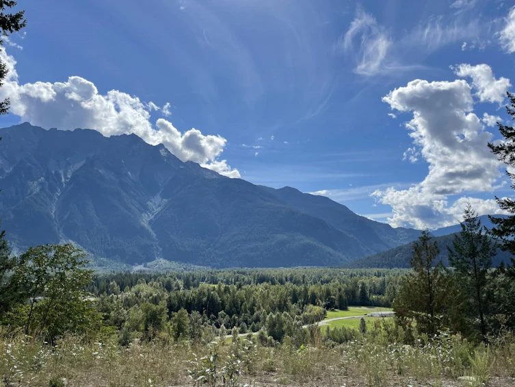 7503 Pebble Creek Drive, Pemberton, BC, V0N 2L1 - 4