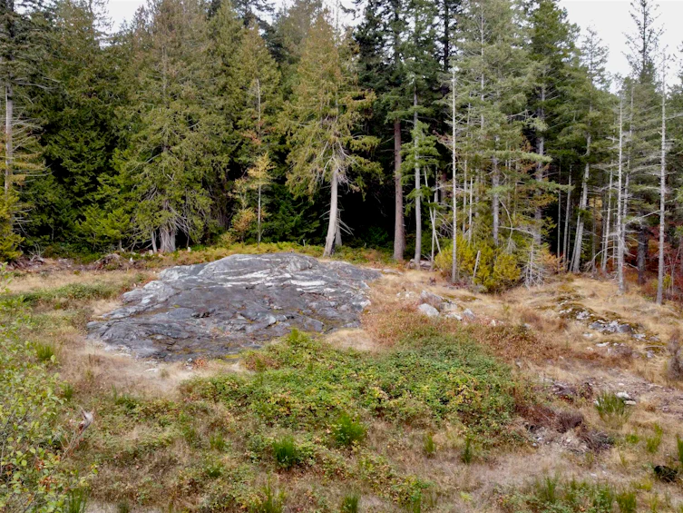 4591 Flagship Road, Pender Harbour Egmont, BC, V0N 1S1 - 15