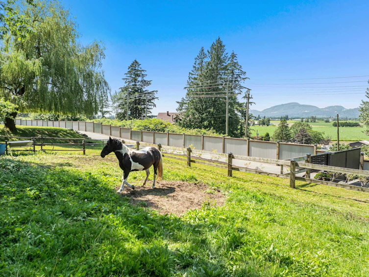 41056 Belrose Road, Abbotsford, BC, V3G 2M9 - 2