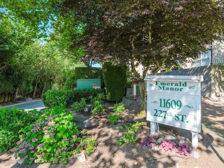213-11609 227 Street, Maple Ridge, BC, V2X 2L9 - 3