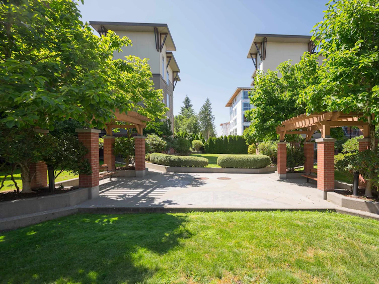206-33538 Marshall, Abbotsford, BC, V2S 0C6 - 20