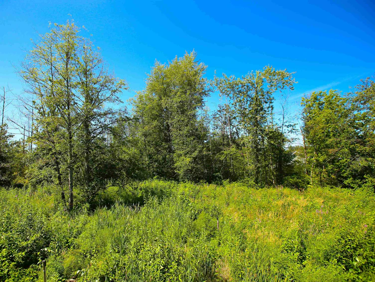 16-7635 198b, Langley, BC - 26