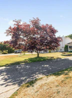 835 O'shea Road