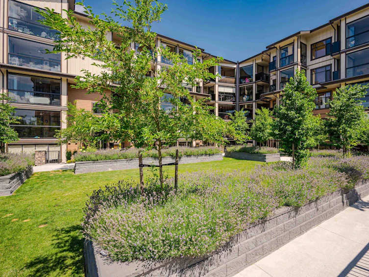 511-20376 86, Langley, BC, V2Y 3P8 - 37
