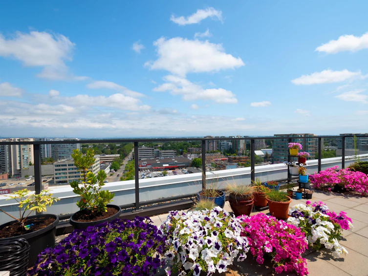 PH 5-7988 Ackroyd Road, Richmond, BC, V6X 0K6 - 4