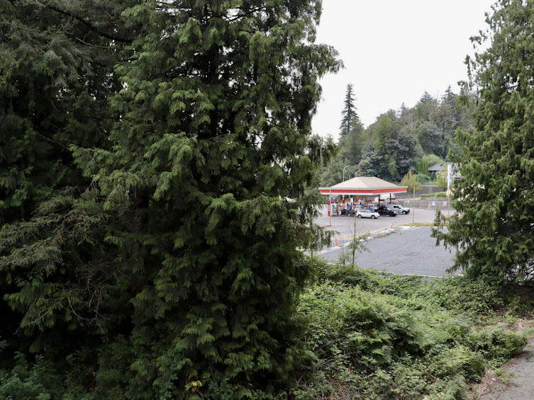 109-2238 Whatcom Road, Abbotsford, BC, V3G 0E6 - 22