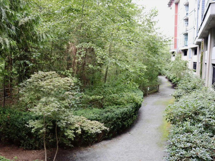 109-2238 Whatcom Road, Abbotsford, BC, V3G 0E6 - 25
