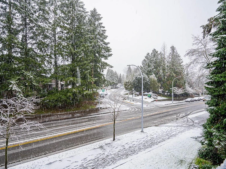 212-10468 148 Street, Surrey, BC, V3R 8T1 - 23