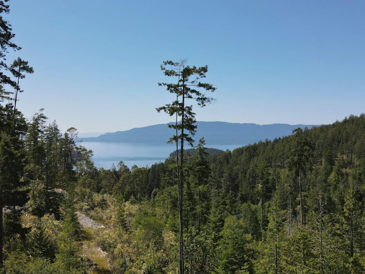 Lot 4-13803 Lee Road, Pender Harbour Egmont, BC, V0N 1S1 - 2
