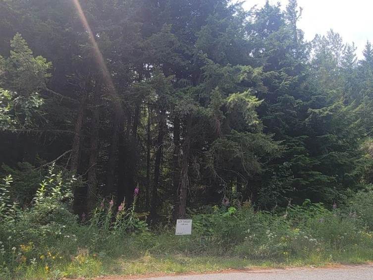 SVE107 Old Hope Princeton Highway, Hope, BC, V0X 1L5 - 2