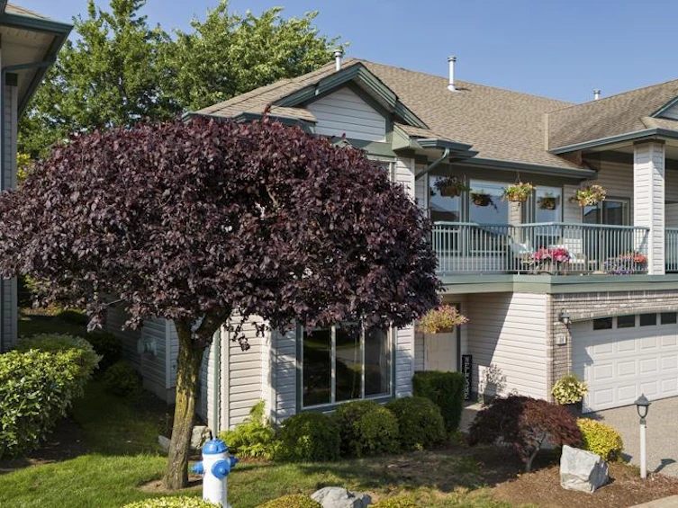 36-31517 Spur, Abbotsford, BC, V2T 6V7 - 39