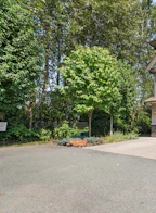 50 45085 Wolfe Road