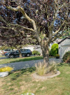 41 2345 Cranley Drive