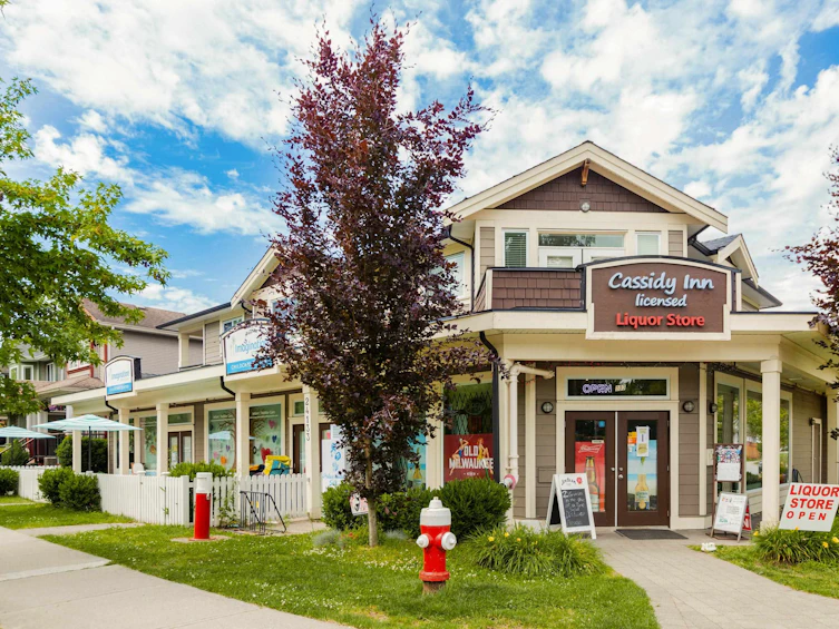 24285 101a Avenue, Maple Ridge, BC, V2W 0C2 - 38