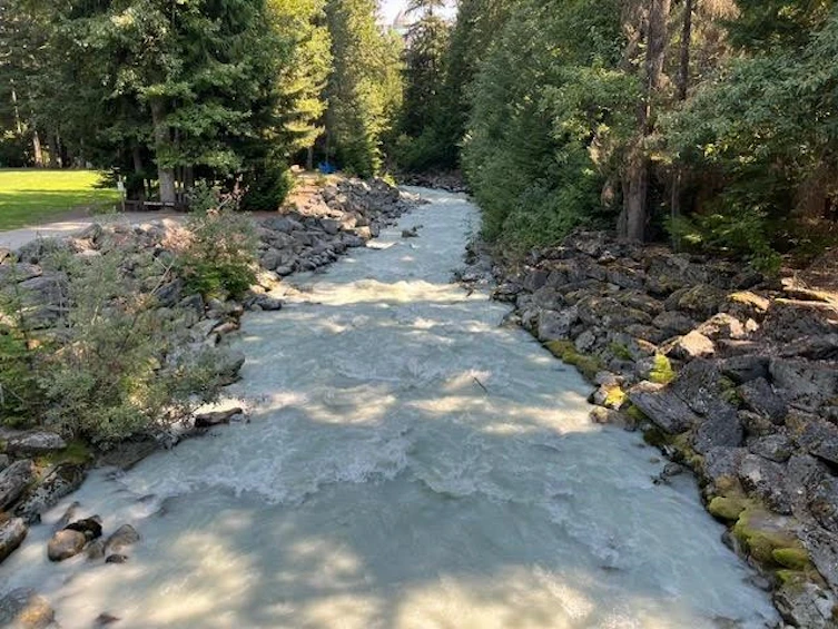 4-4510 Blackcomb Way, Whistler, BC, V8E 0X8 - 7