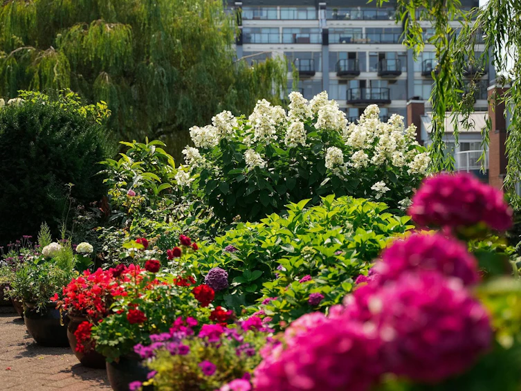 107-1502 Island Park Walk, Vancouver, BC, V6H 3Z8 - 30