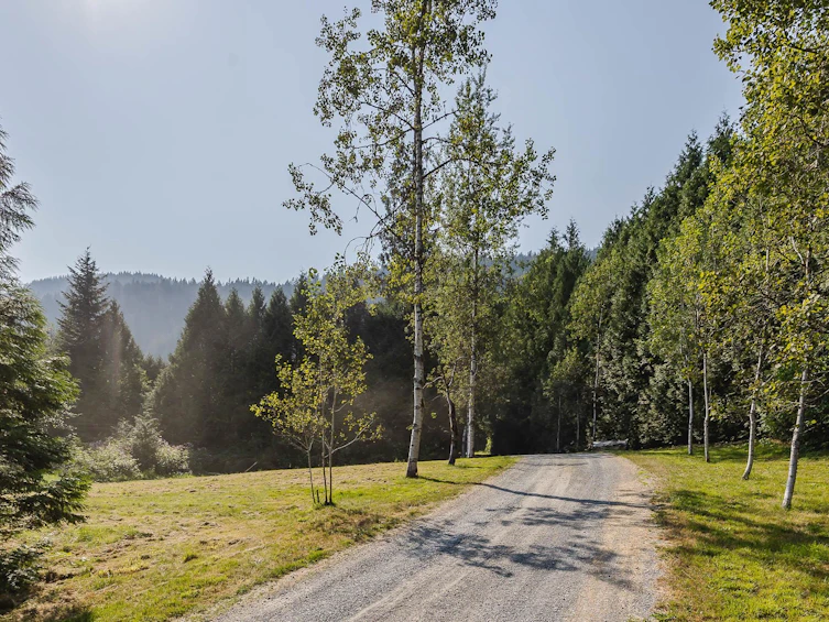 11977 Stave Lake Road, Mission, BC, V2V 4J1 - 3
