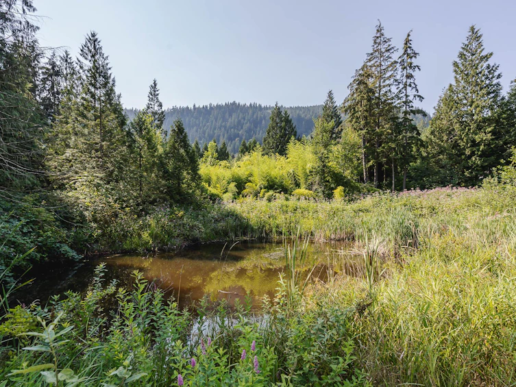 11977 Stave Lake Road, Mission, BC, V2V 4J1 - 39