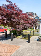 308 1230 Quayside Drive