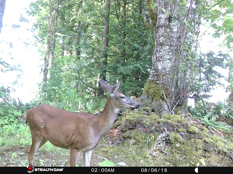 LT.8, Old Yale Road, Abbotsford, BC, V3G 2S9 - 5