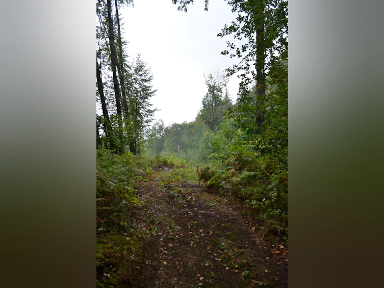 LT.8, Old Yale Road, Abbotsford, BC, V3G 2S9 - 8