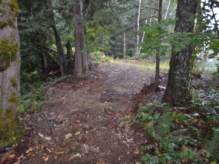 LT.8, Old Yale Road, Abbotsford, BC, V3G 2S9 - 9