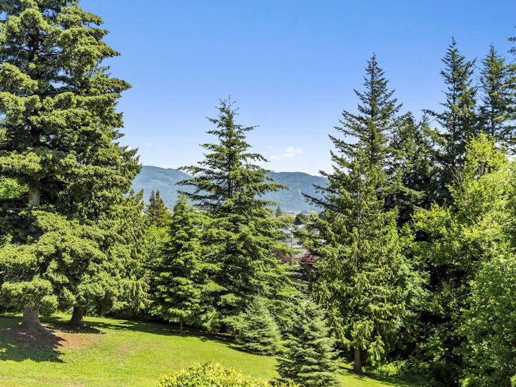 7706 Horne Street, Mission, BC, V2V 3Z1 - 24