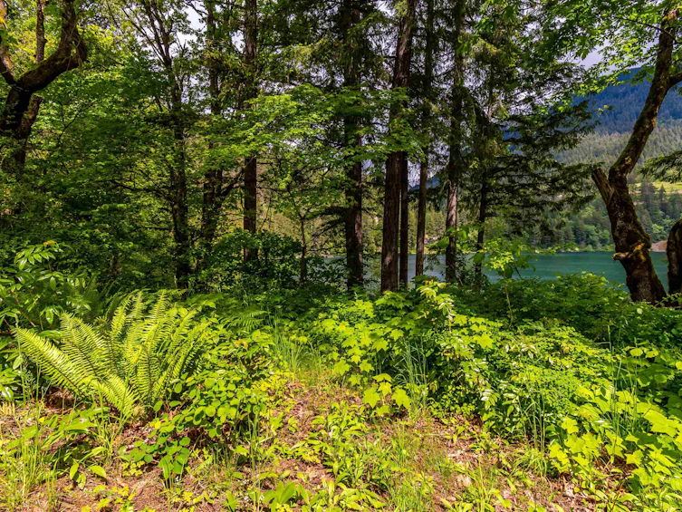 21392 Union Bar Road, Hope, BC, V0X 1L1 - 15