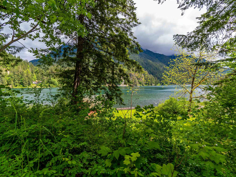 21392 Union Bar Road, Hope, BC, V0X 1L1 - 16