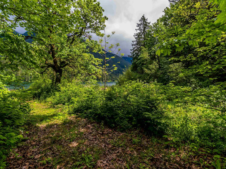 21392 Union Bar Road, Hope, BC, V0X 1L1 - 21