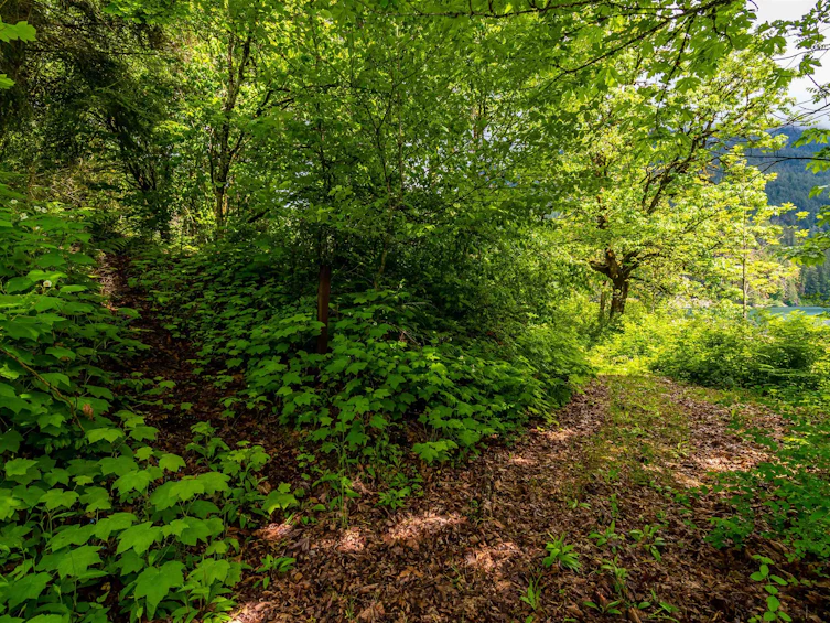 21392 Union Bar Road, Hope, BC, V0X 1L1 - 22