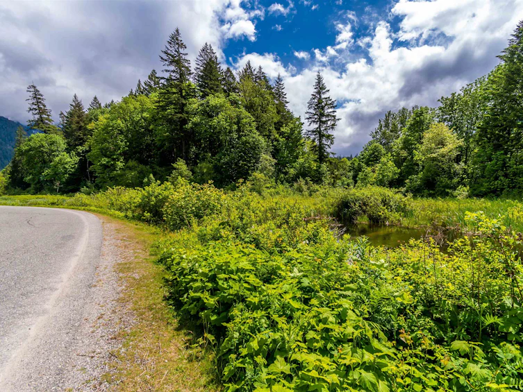 21392 Union Bar Road, Hope, BC, V0X 1L1 - 28