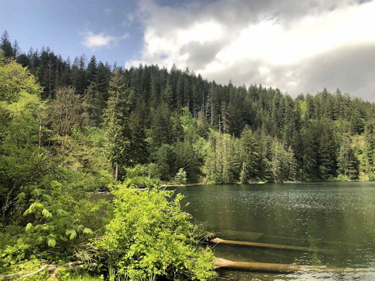 21392 Union Bar Road, Hope, BC, V0X 1L1 - 35