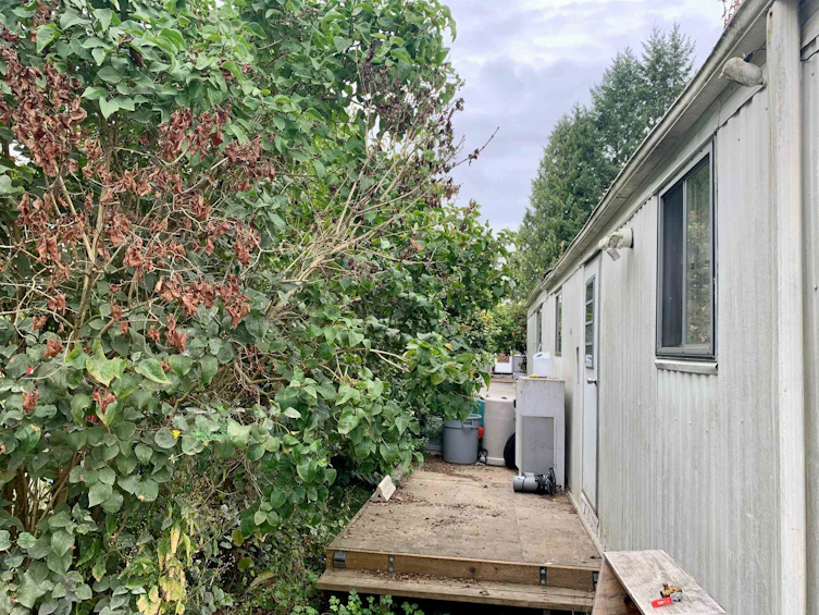 11-23387 70a Avenue, Langley, BC, V2Y 2J2 - 2
