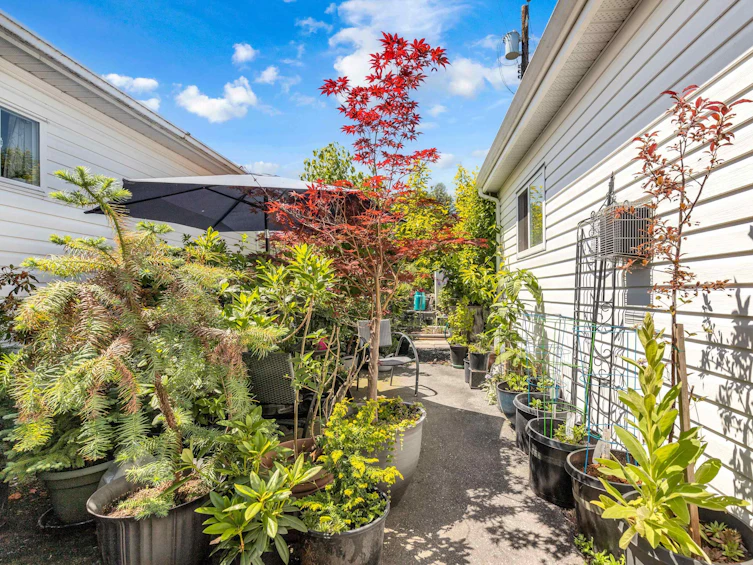 38-9960 Wilson, Mission, BC, V4S 1B3 - 28