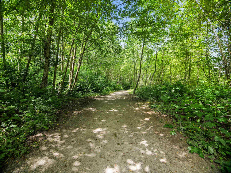 303-18755 68 Avenue, Surrey, BC, V4N 0Z9 - 23