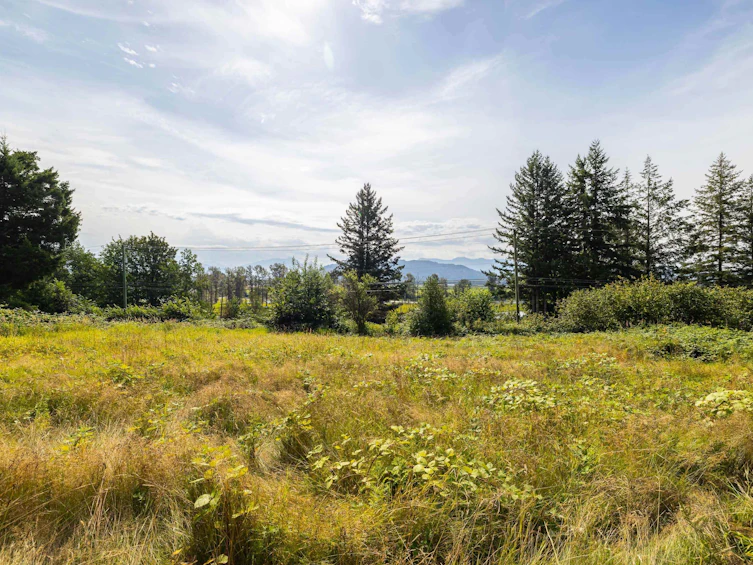 41759 Lougheed Highway, Mission, BC, V0M 1G0 - 38