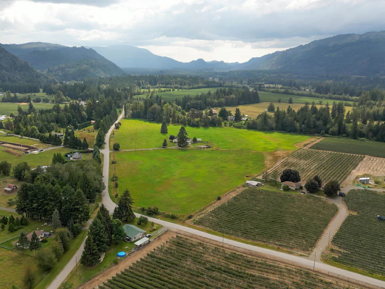 651 Maple Falls Road, Columbia Valley, BC, V2R 4X5 - 4