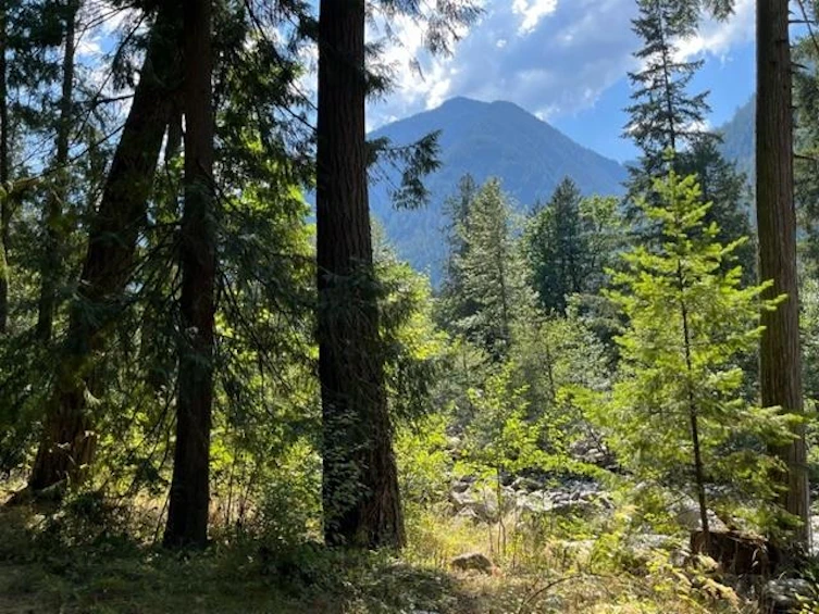 15-19743 Foster Road, Hope, BC, V0X 1L2 - 5