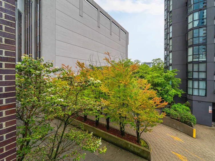 103-1068 Hornby Street, Vancouver, BC, V6Z 2Y7 - 21